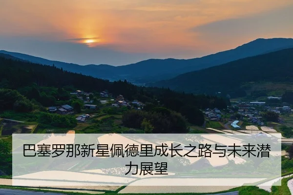 巴塞罗那新星佩德里成长之路与未来潜力展望